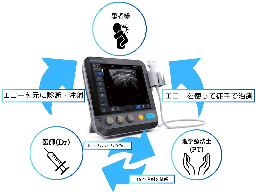 エコーリハビリテーション